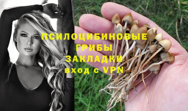 соль курить ск Остров