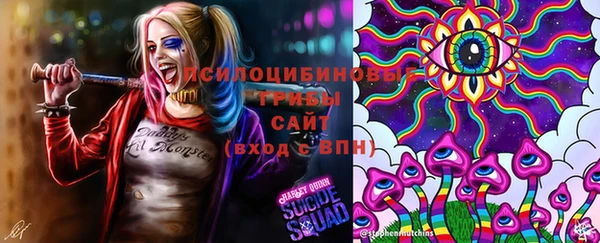 Альфа ПВП Нягань