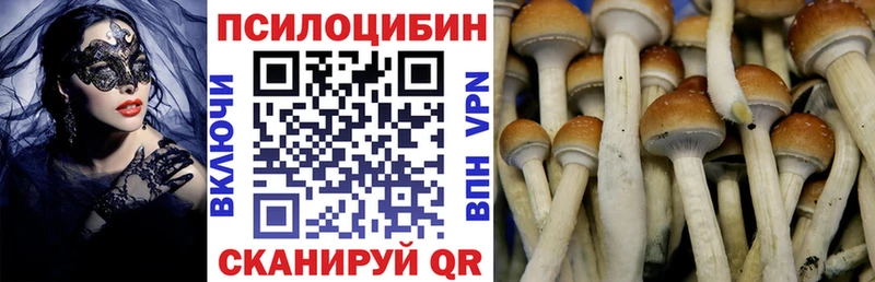 Галлюциногенные грибы Psilocybine cubensis  наркошоп  Артёмовск 